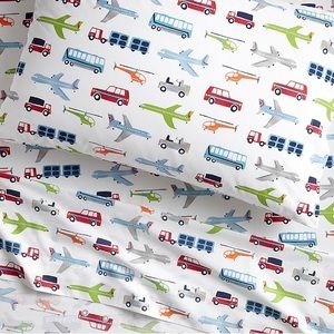 Like New 4 pc Pottery Barn Kids Brody Organic Full Size Sheets